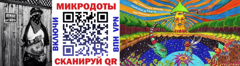 Галлюциногенные грибы Psilocybe  Кимры 