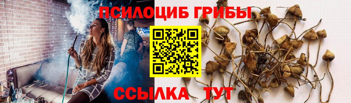 Псилоцибиновые грибы ЛСД Кимры